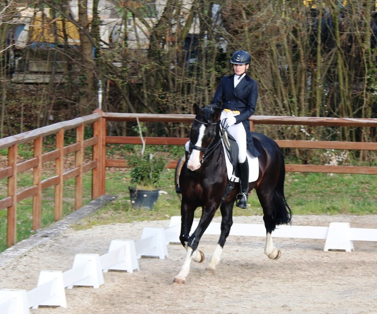 Description de l'image