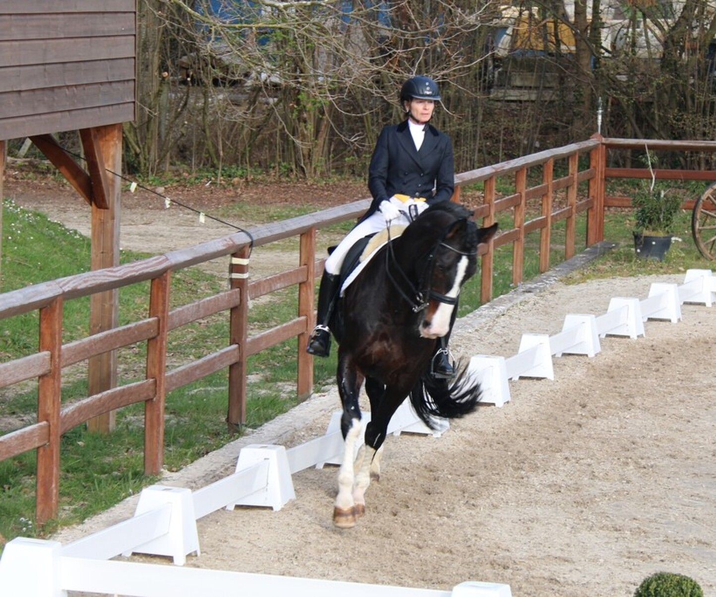 Description de l'image