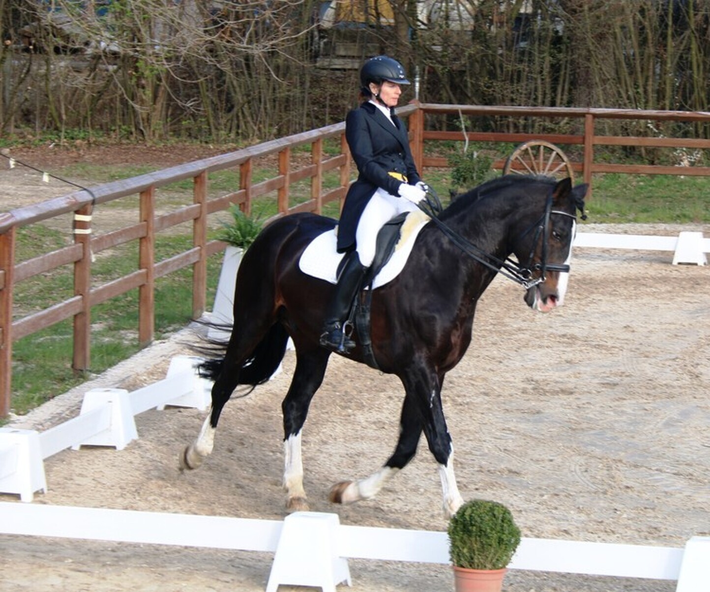 Description de l'image