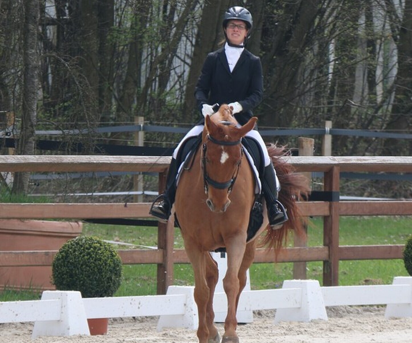 Description de l'image