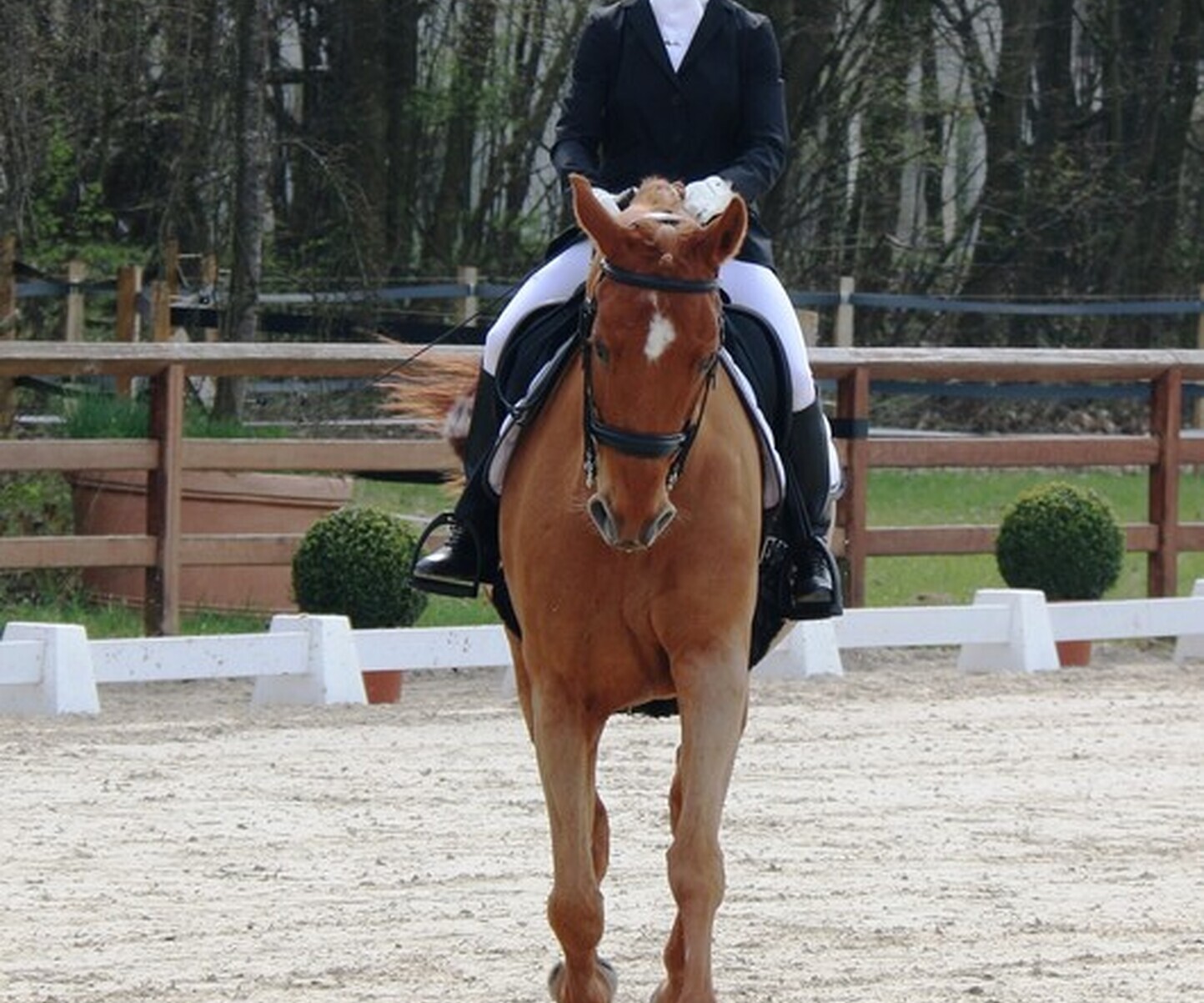 Description de l'image