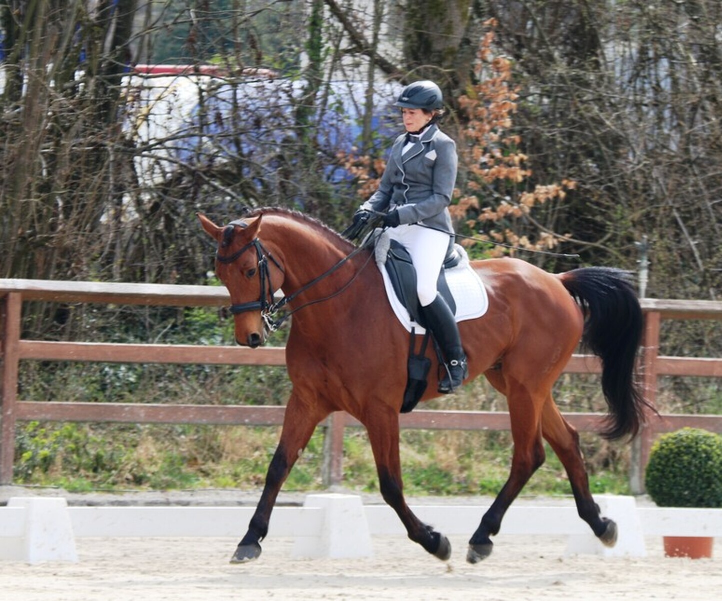 Description de l'image