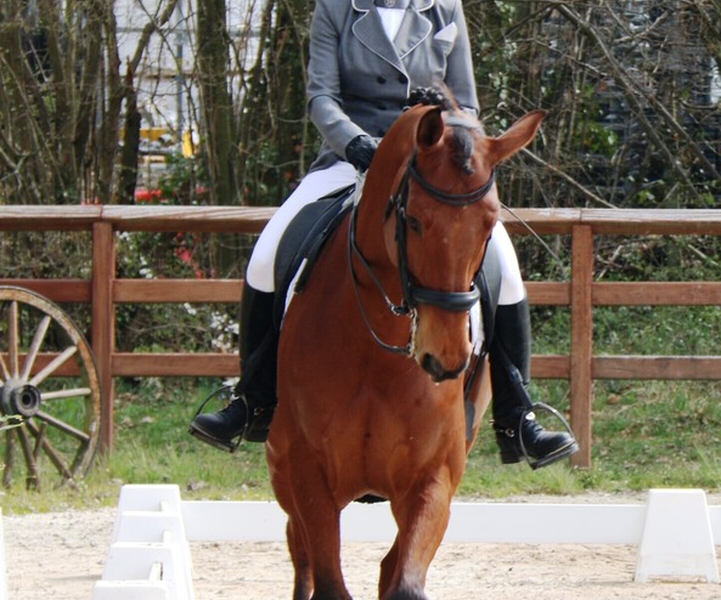 Description de l'image