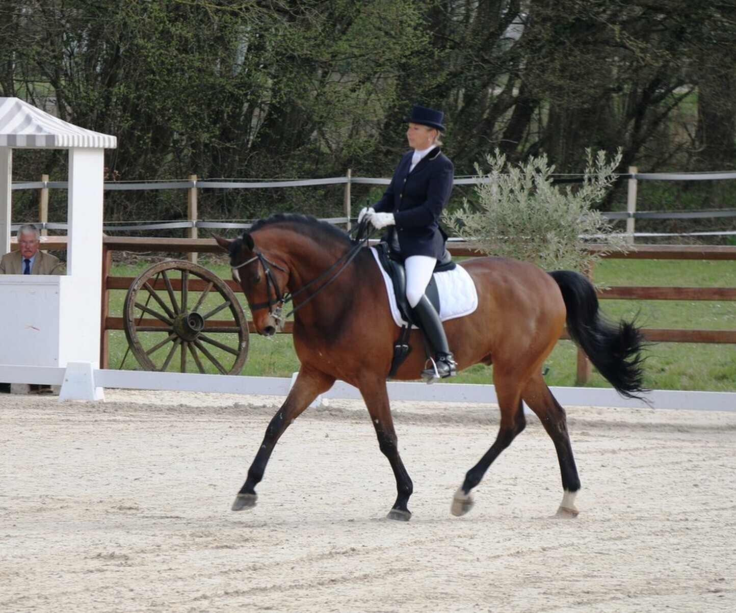 Description de l'image