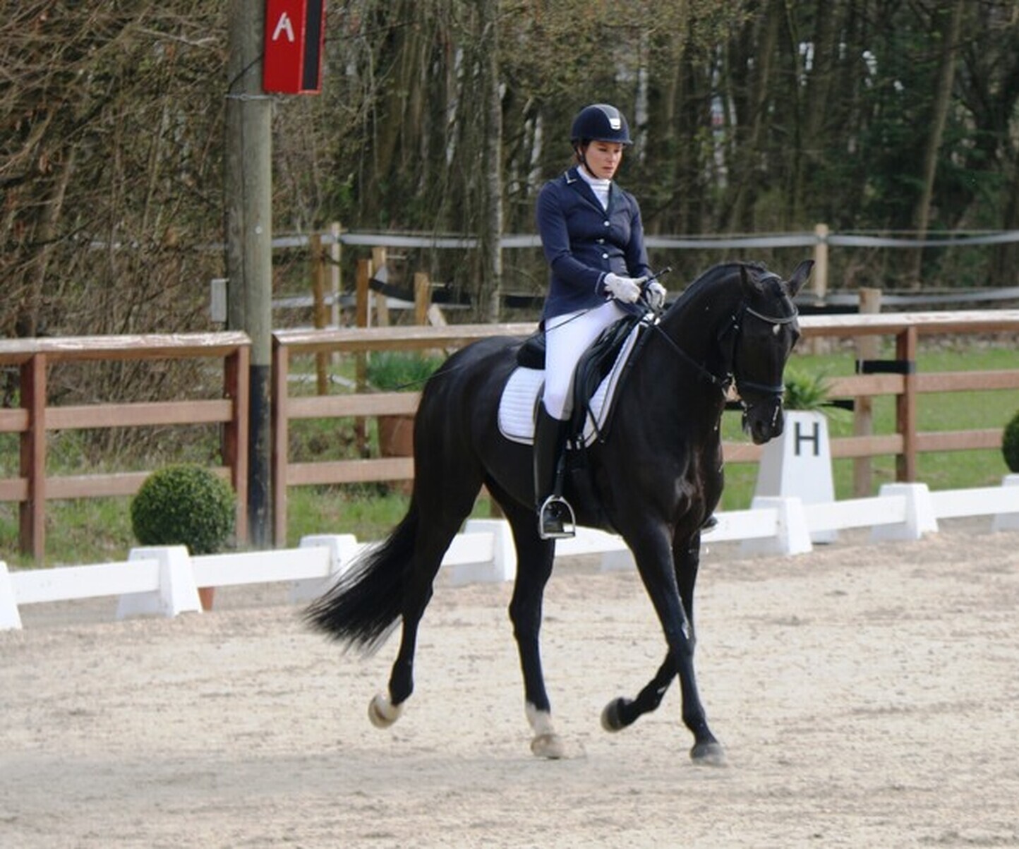 Description de l'image