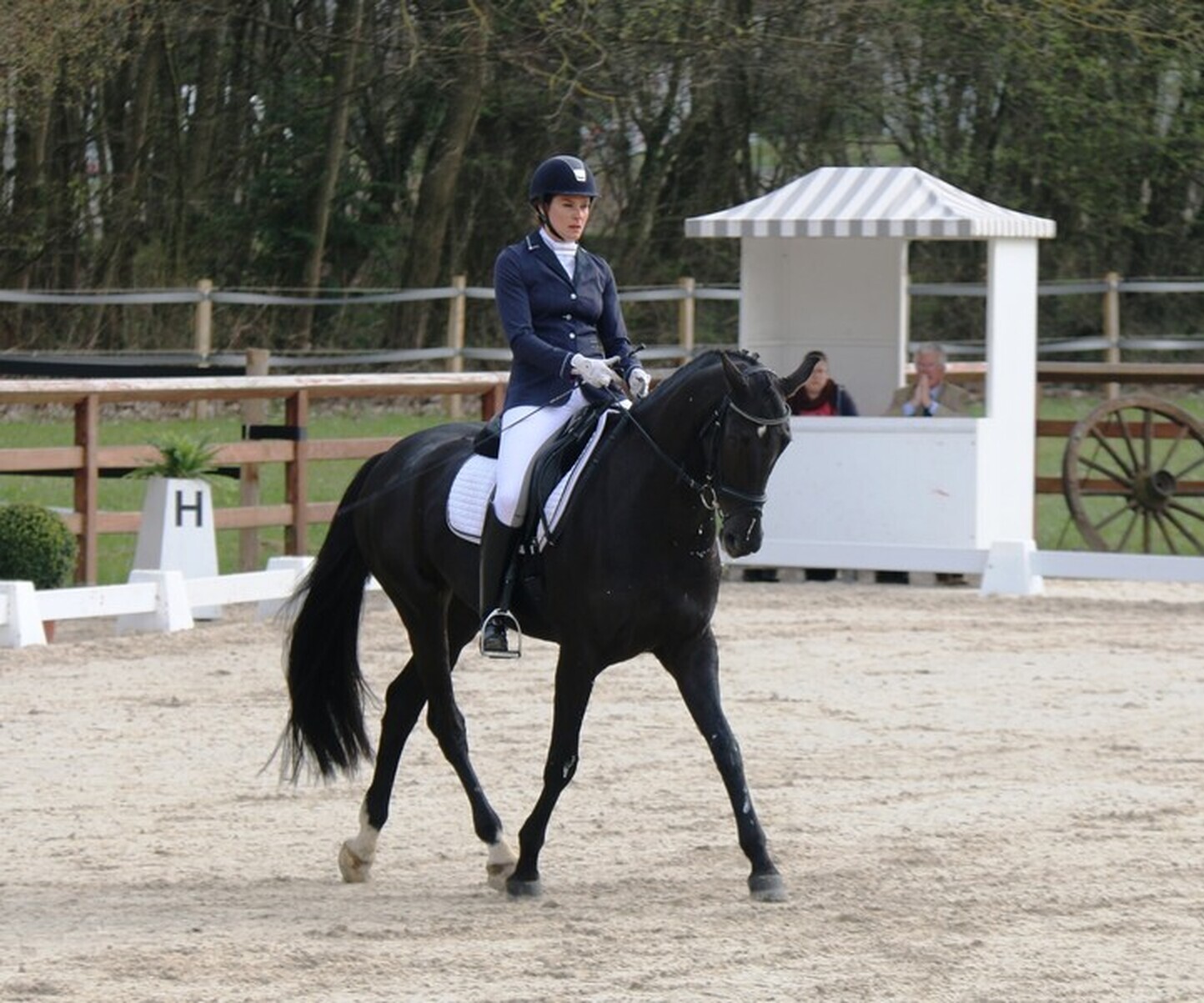 Description de l'image