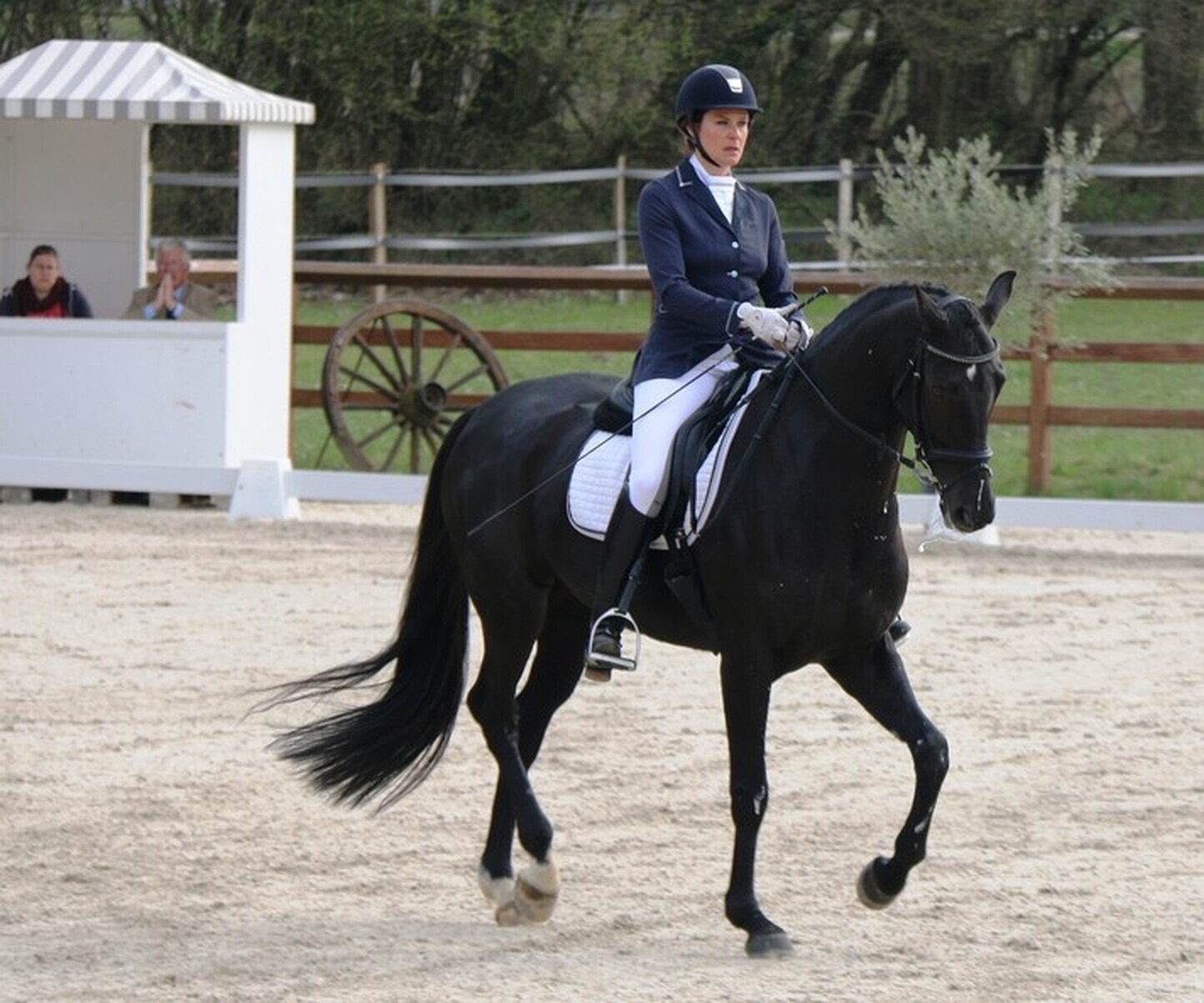 Description de l'image