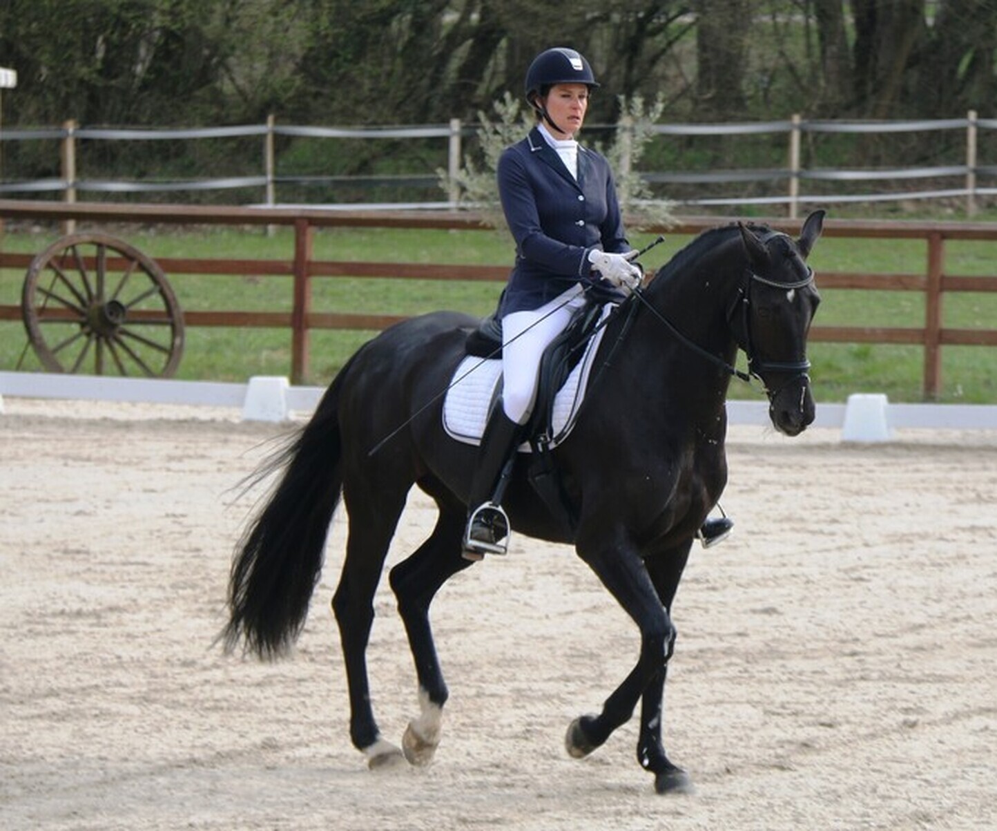 Description de l'image