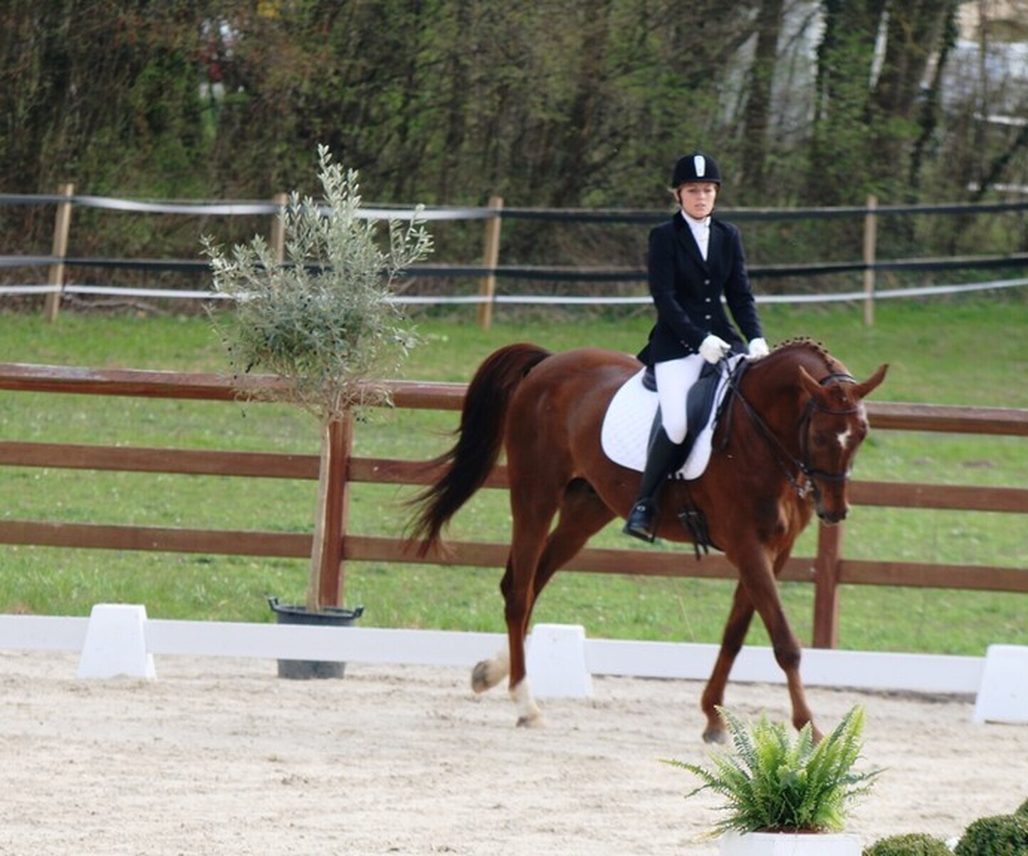 Description de l'image