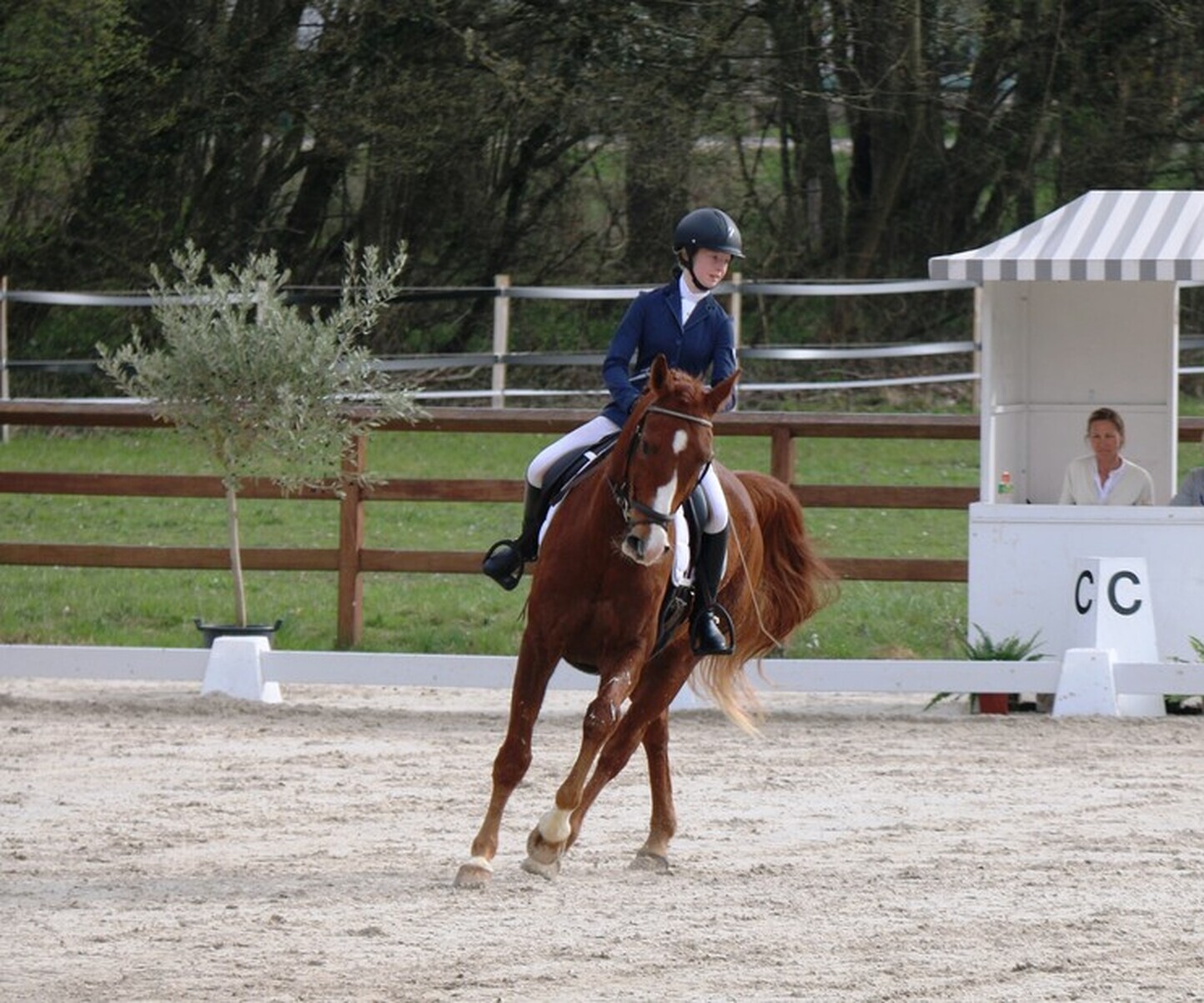 Description de l'image