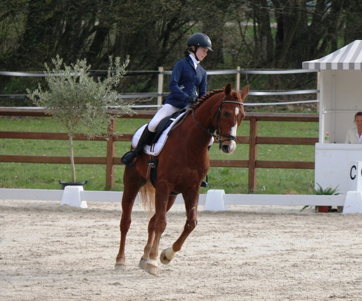 Description de l'image