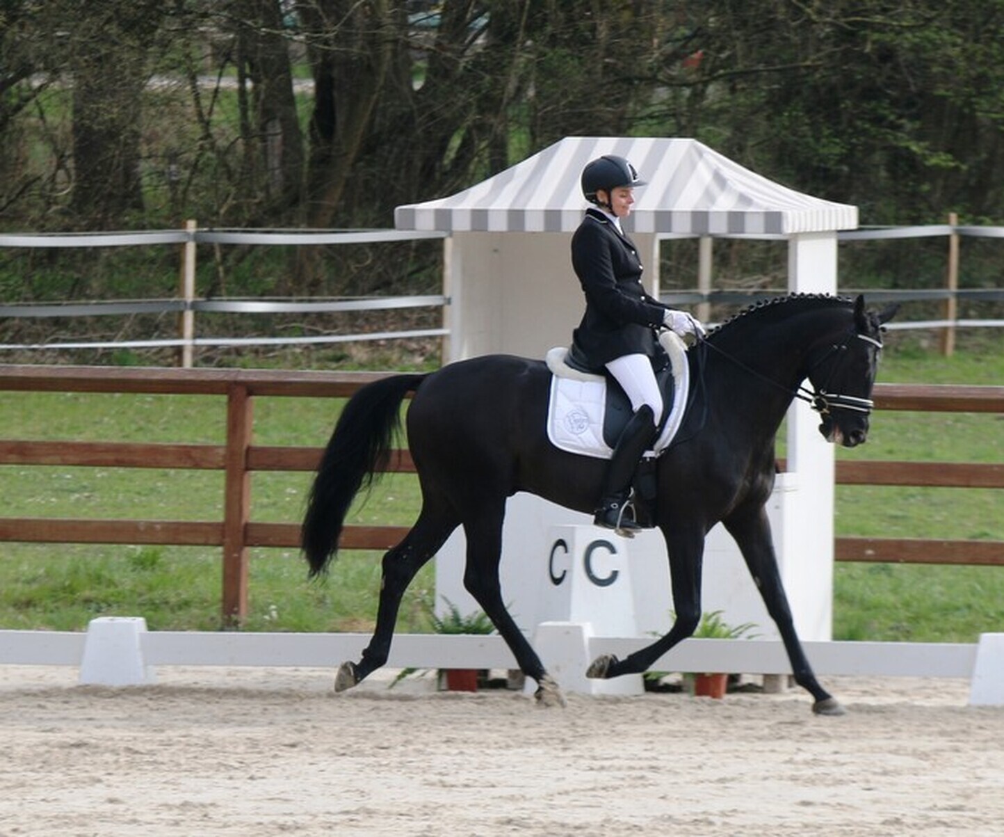 Description de l'image