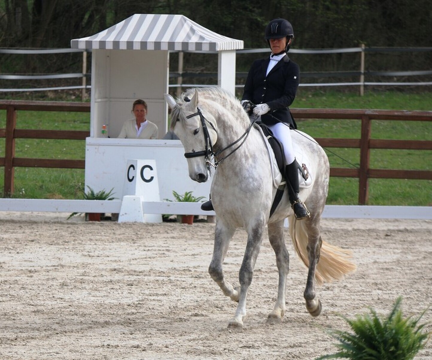 Description de l'image