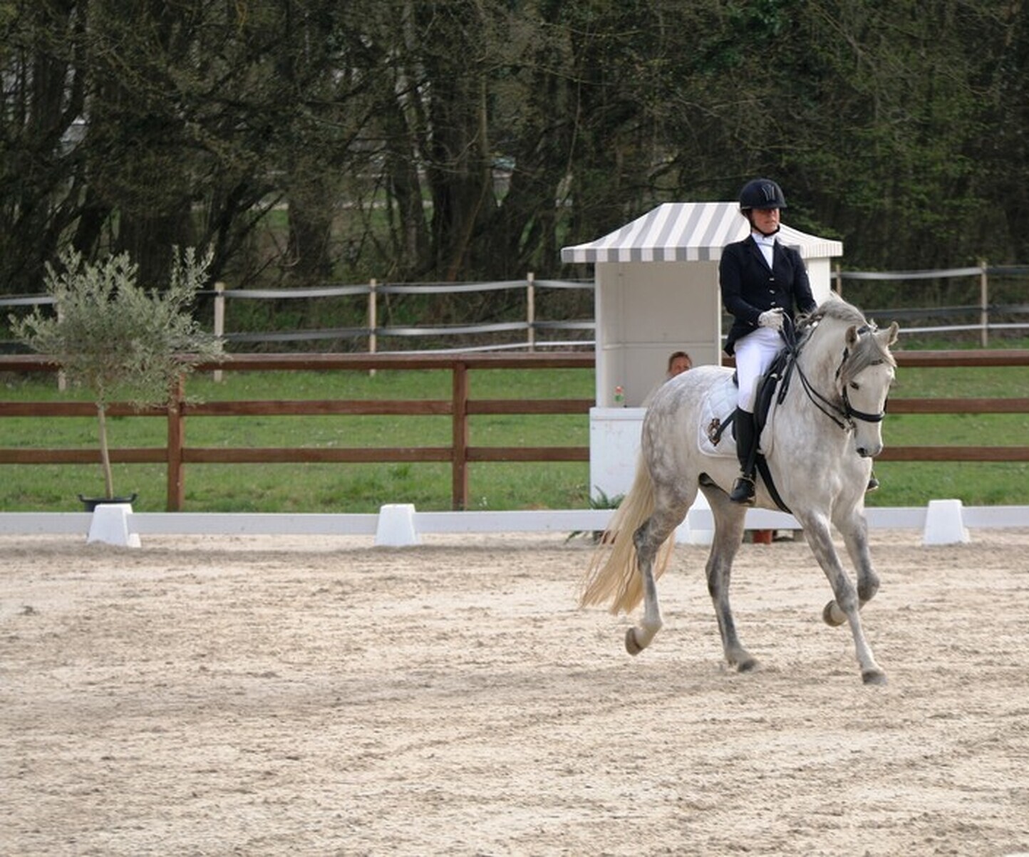 Description de l'image