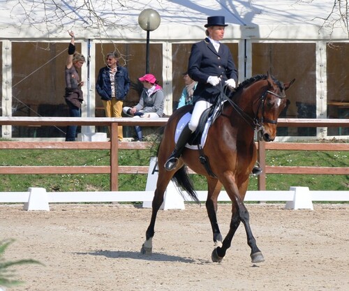 Dressage à Evordes