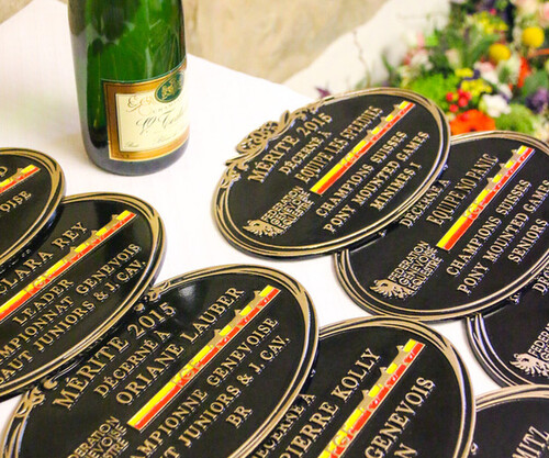 Soirée des Mérites 2015