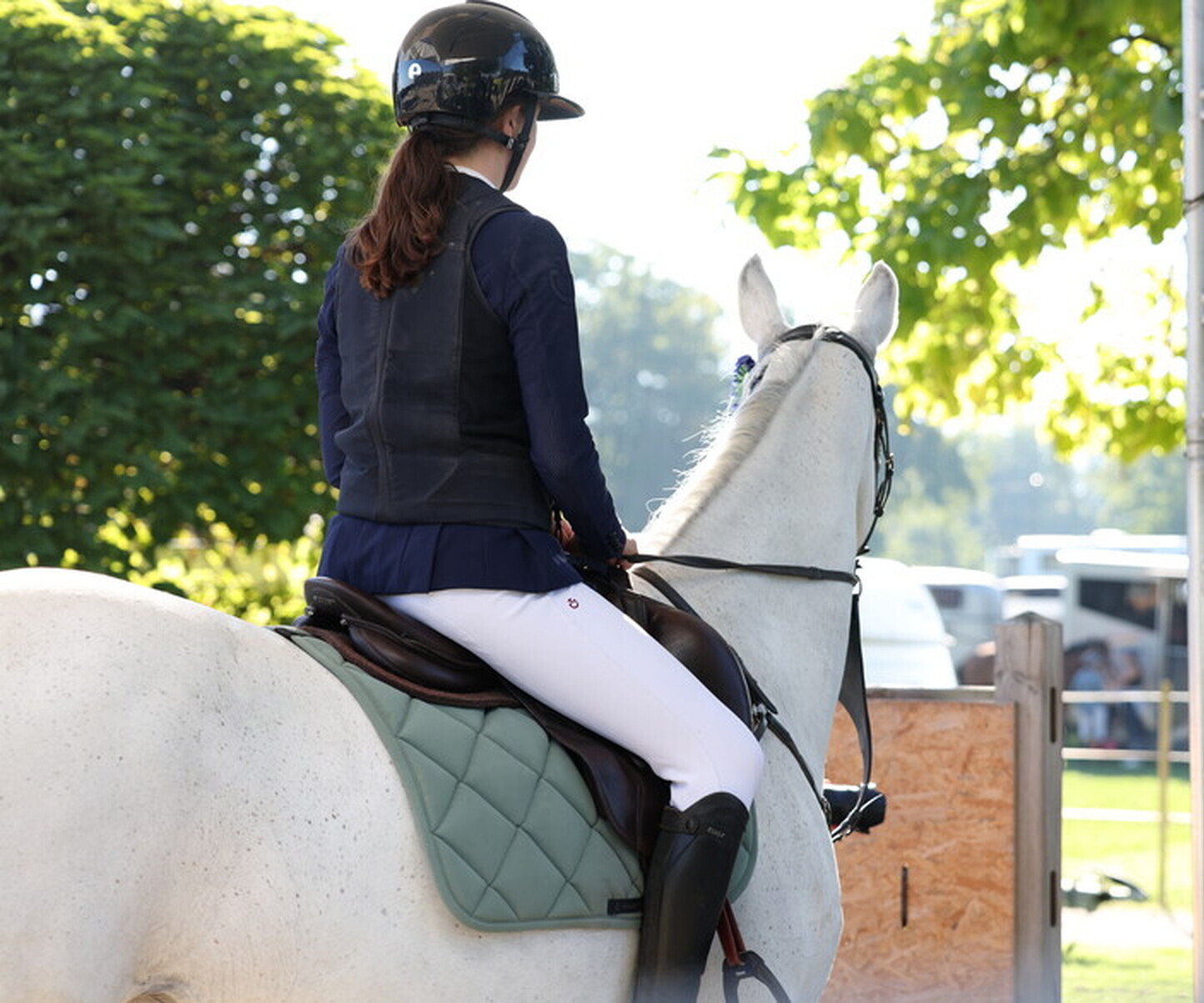 Description de l'image