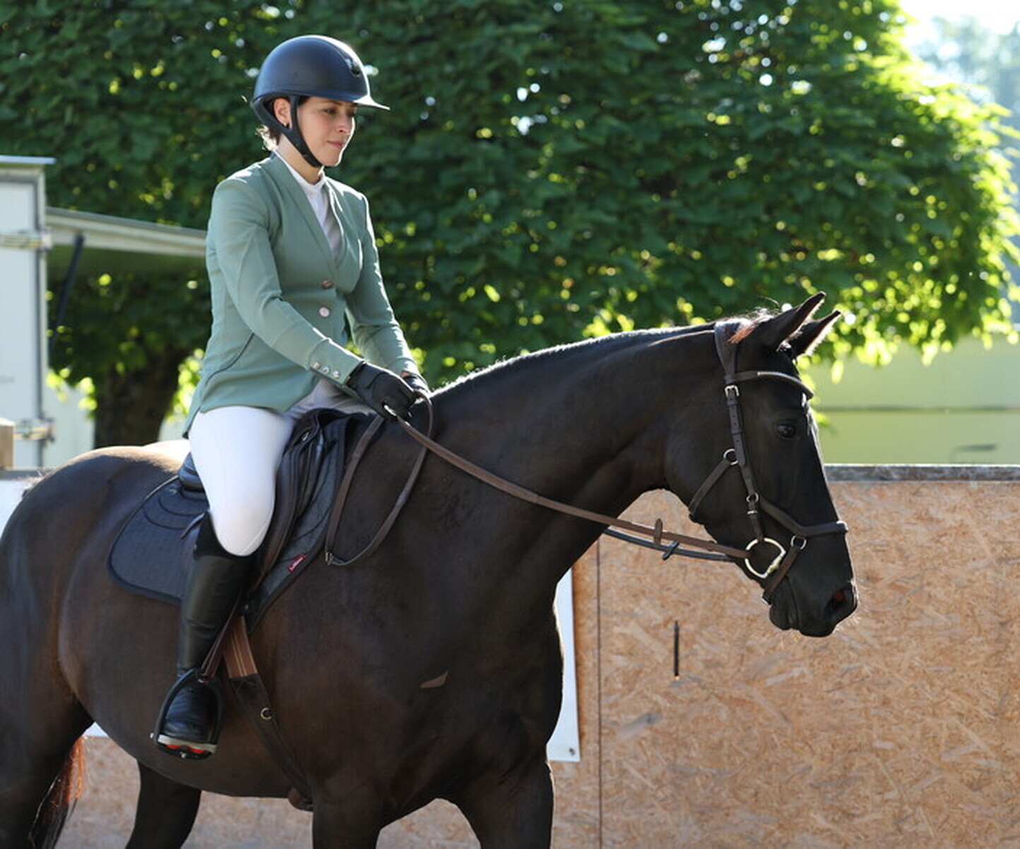 Description de l'image