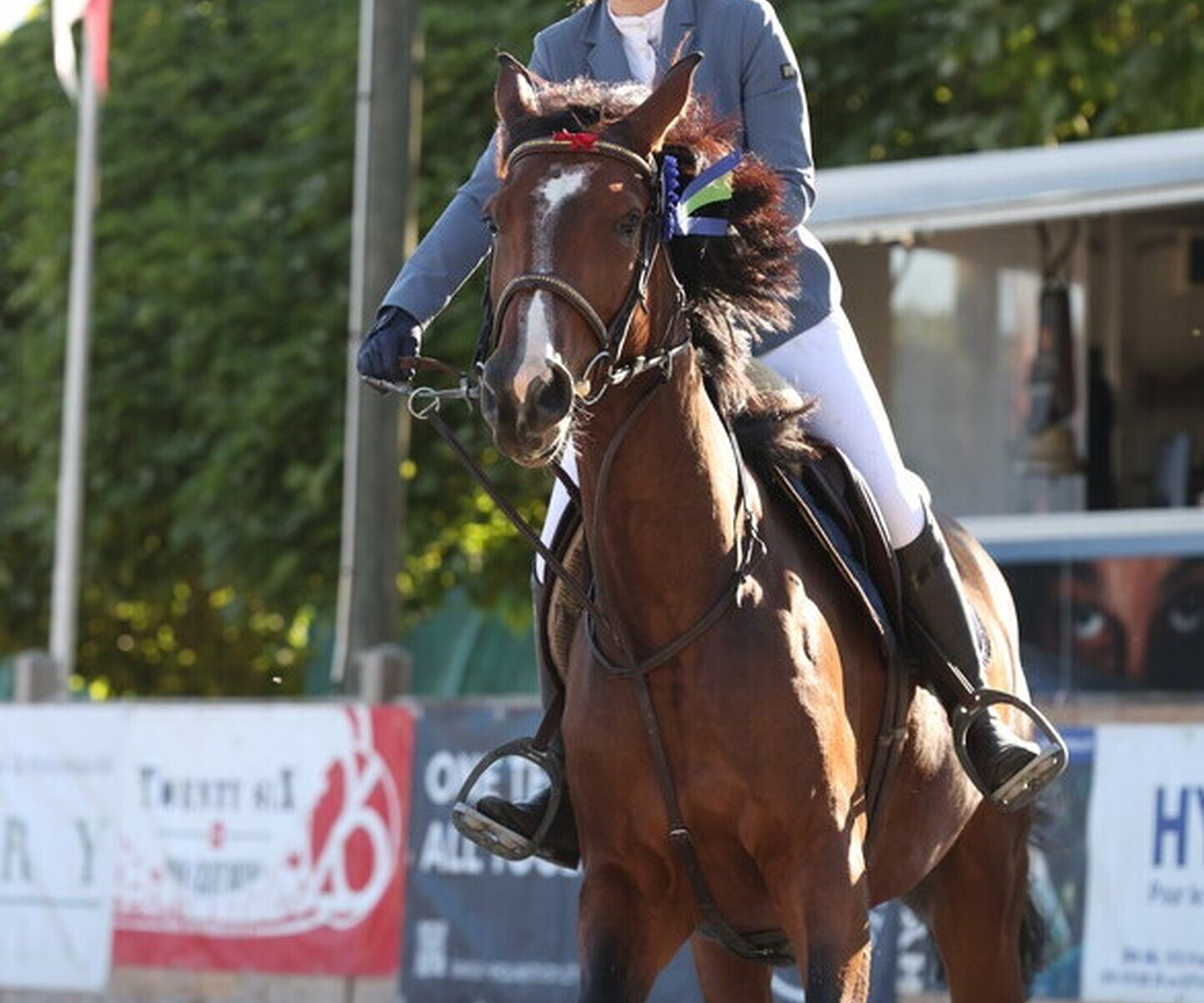 Description de l'image