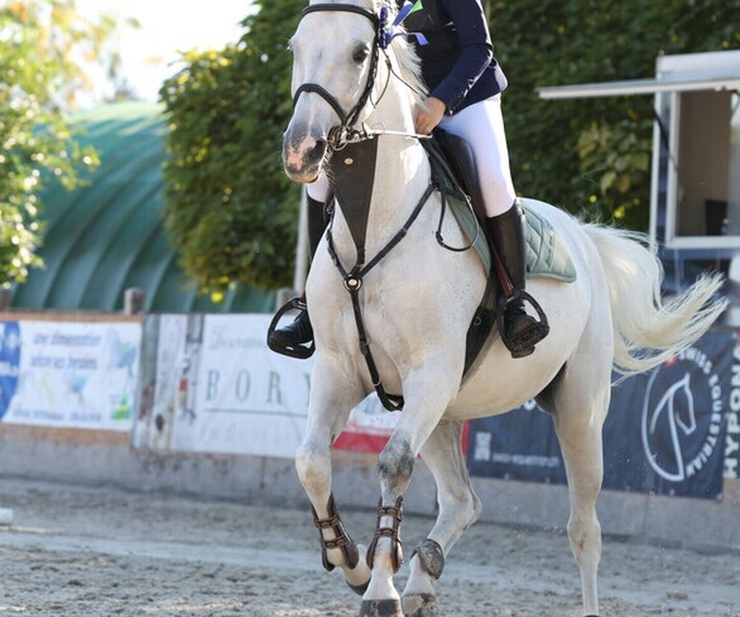 Description de l'image