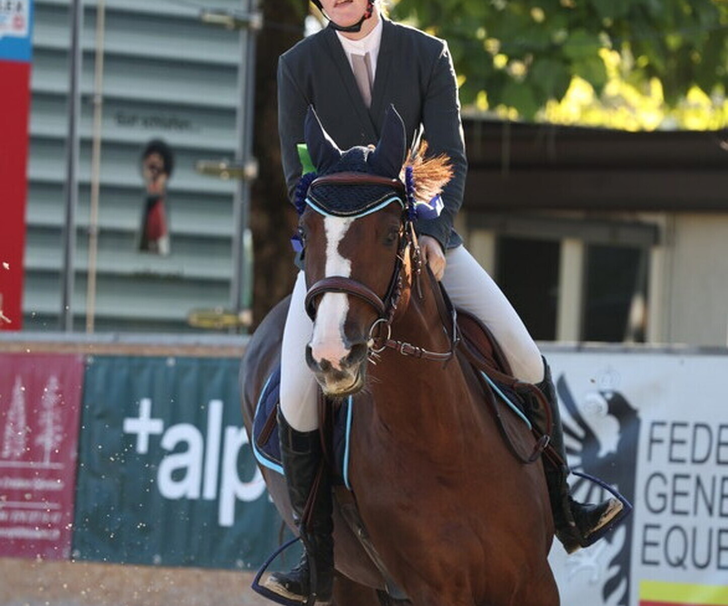 Description de l'image