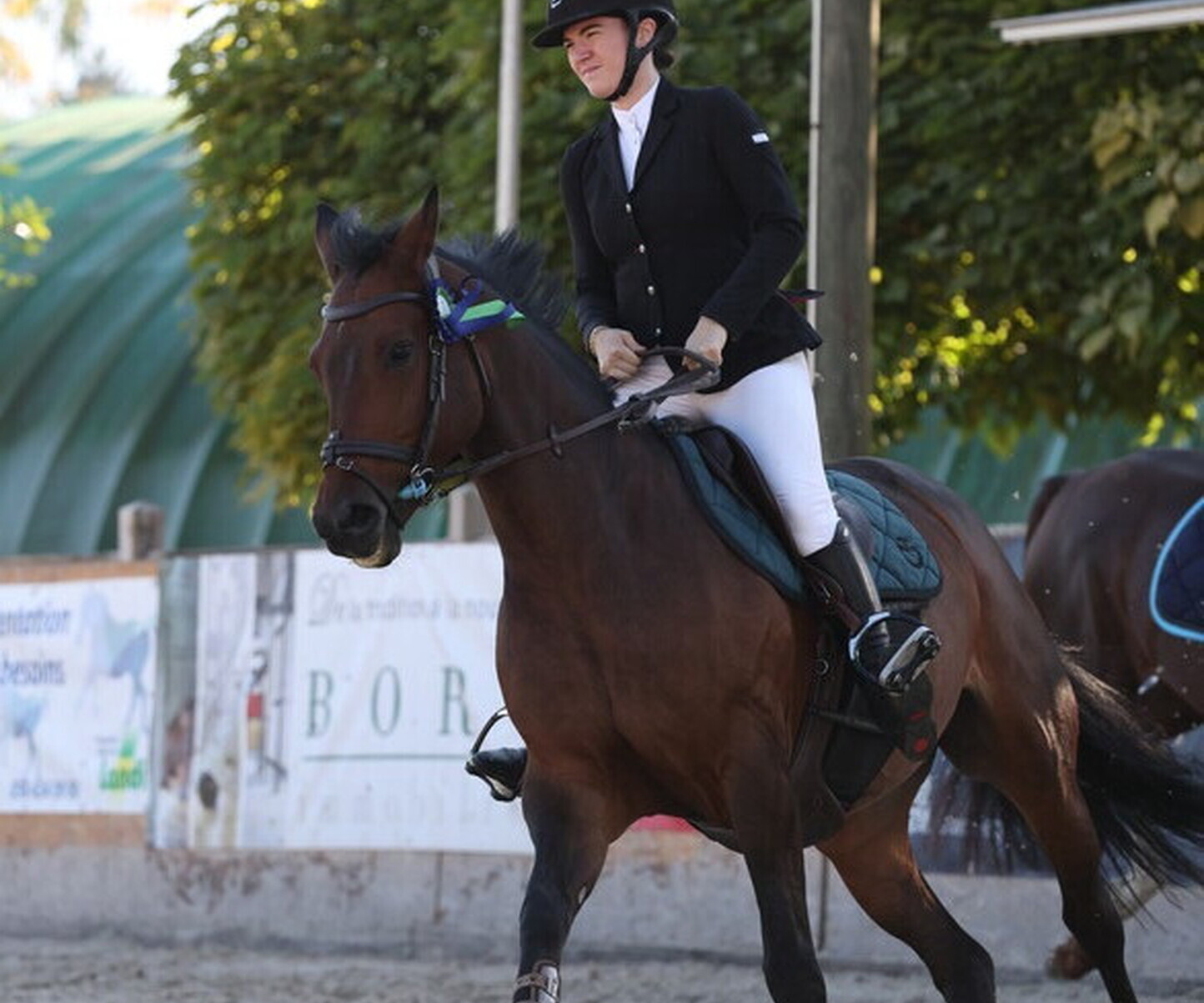 Description de l'image