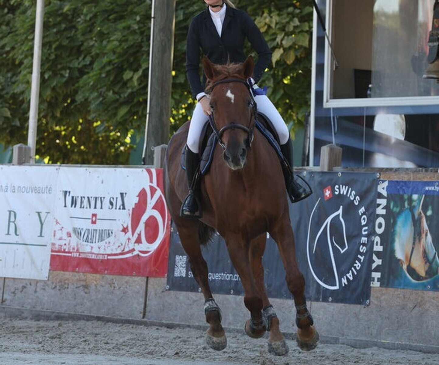 Description de l'image