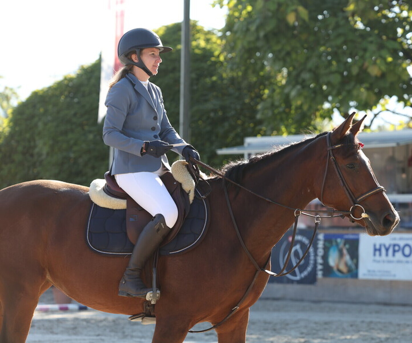 Description de l'image