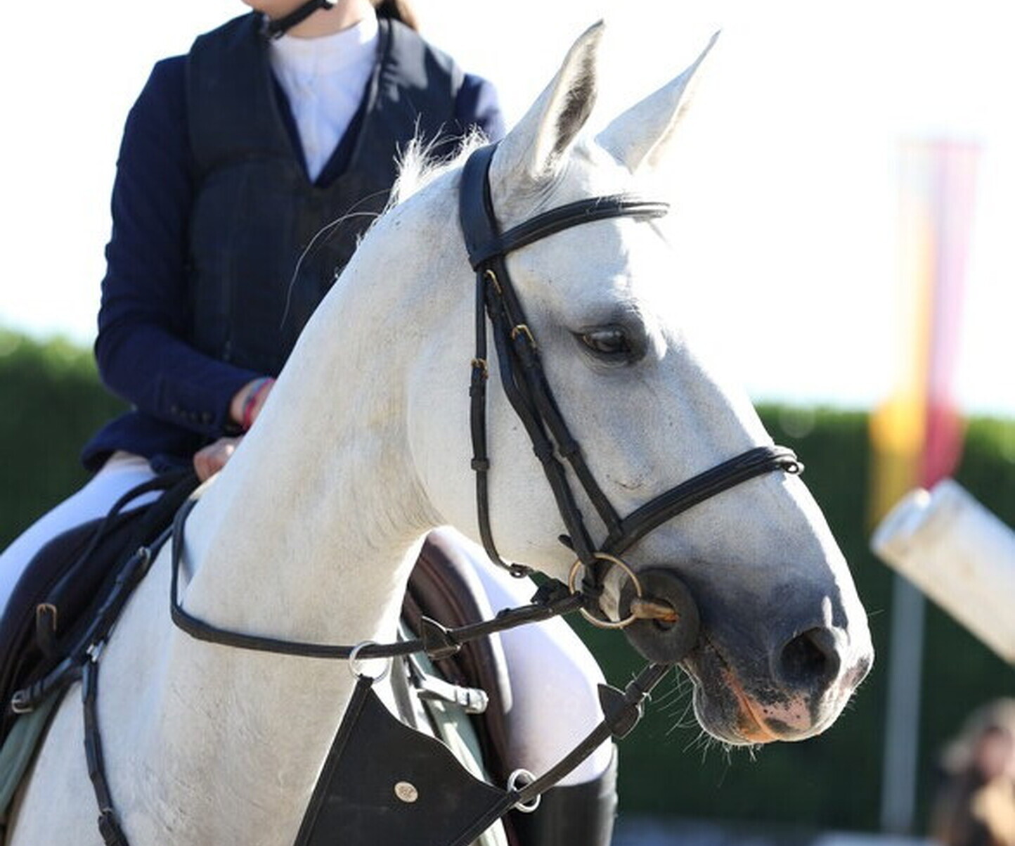 Description de l'image