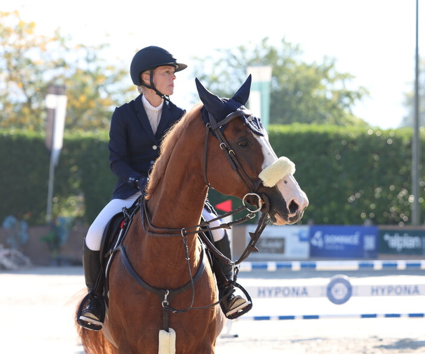 Description de l'image