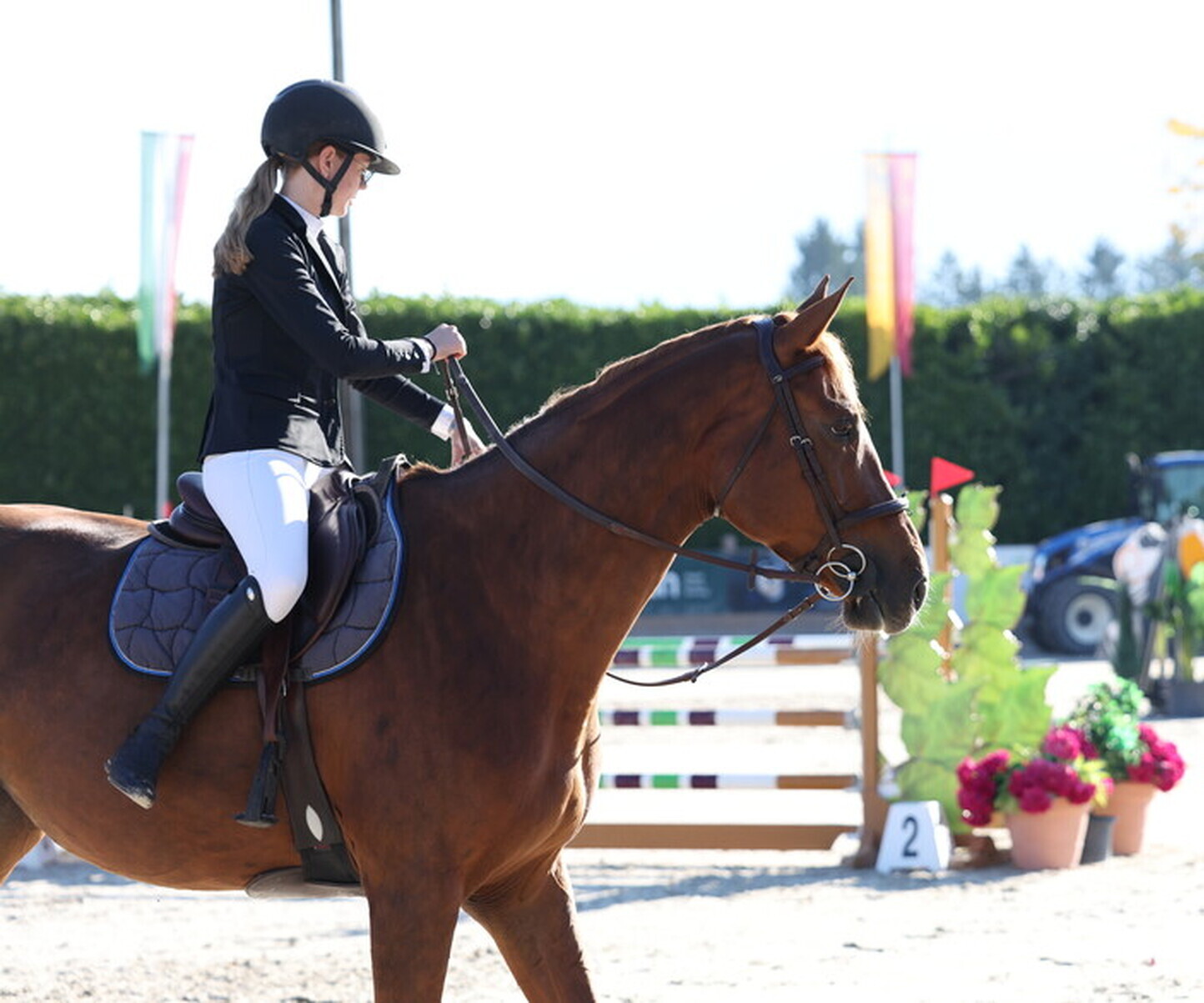 Description de l'image