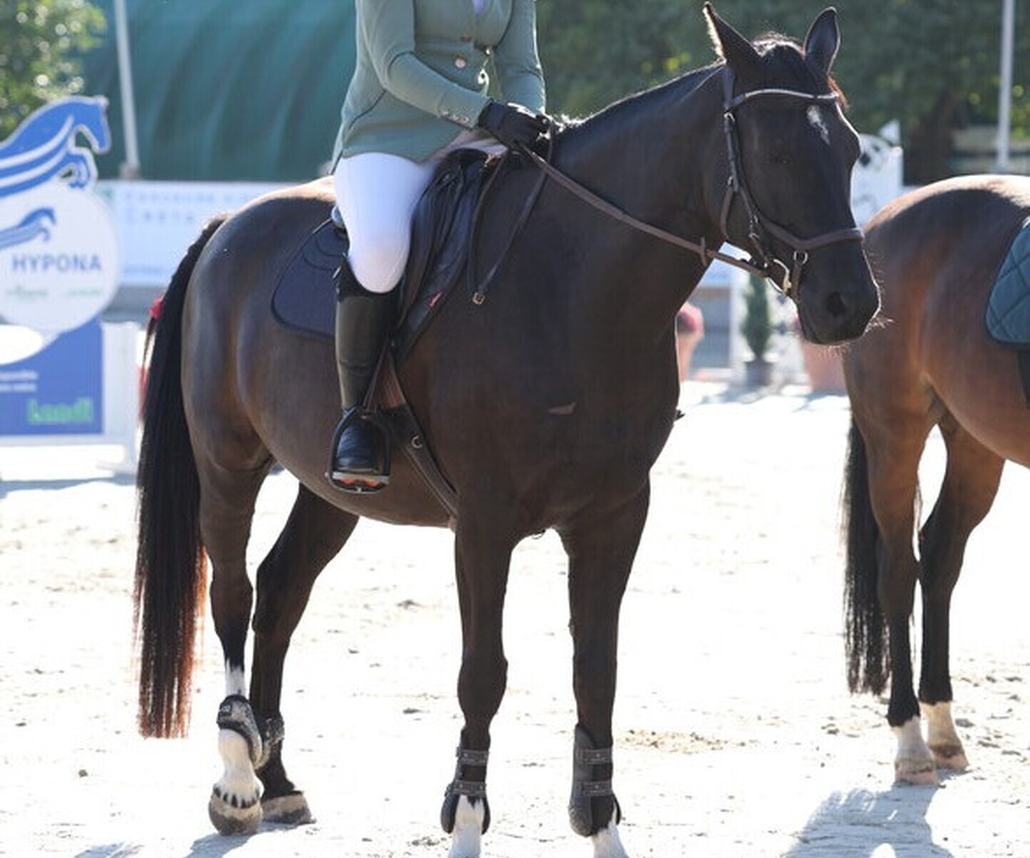 Description de l'image