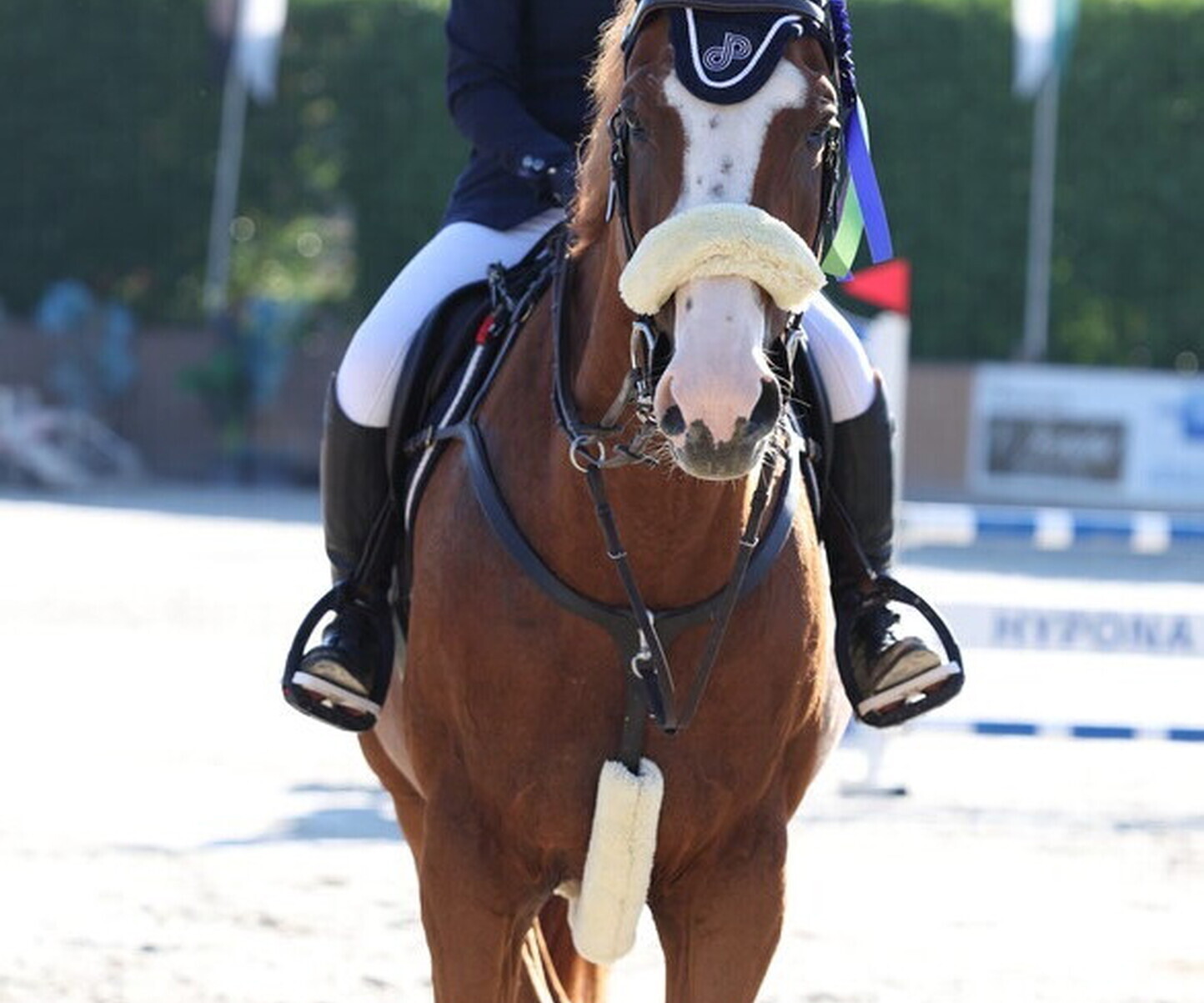 Description de l'image