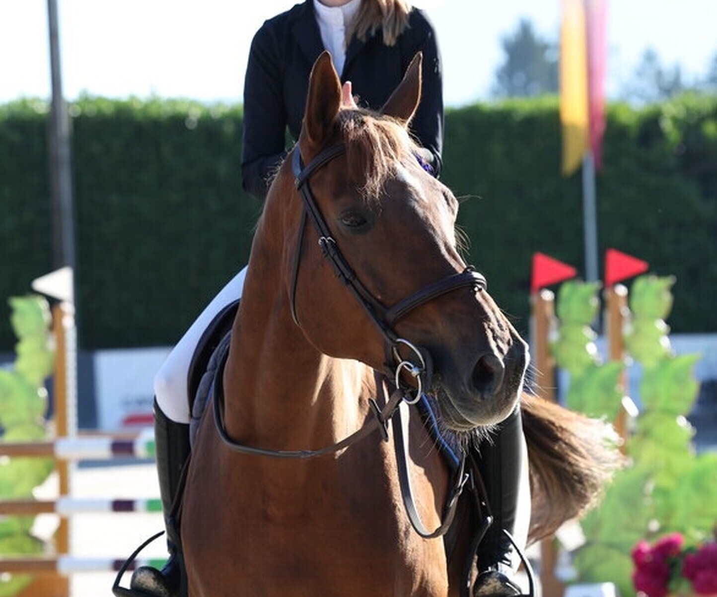 Description de l'image