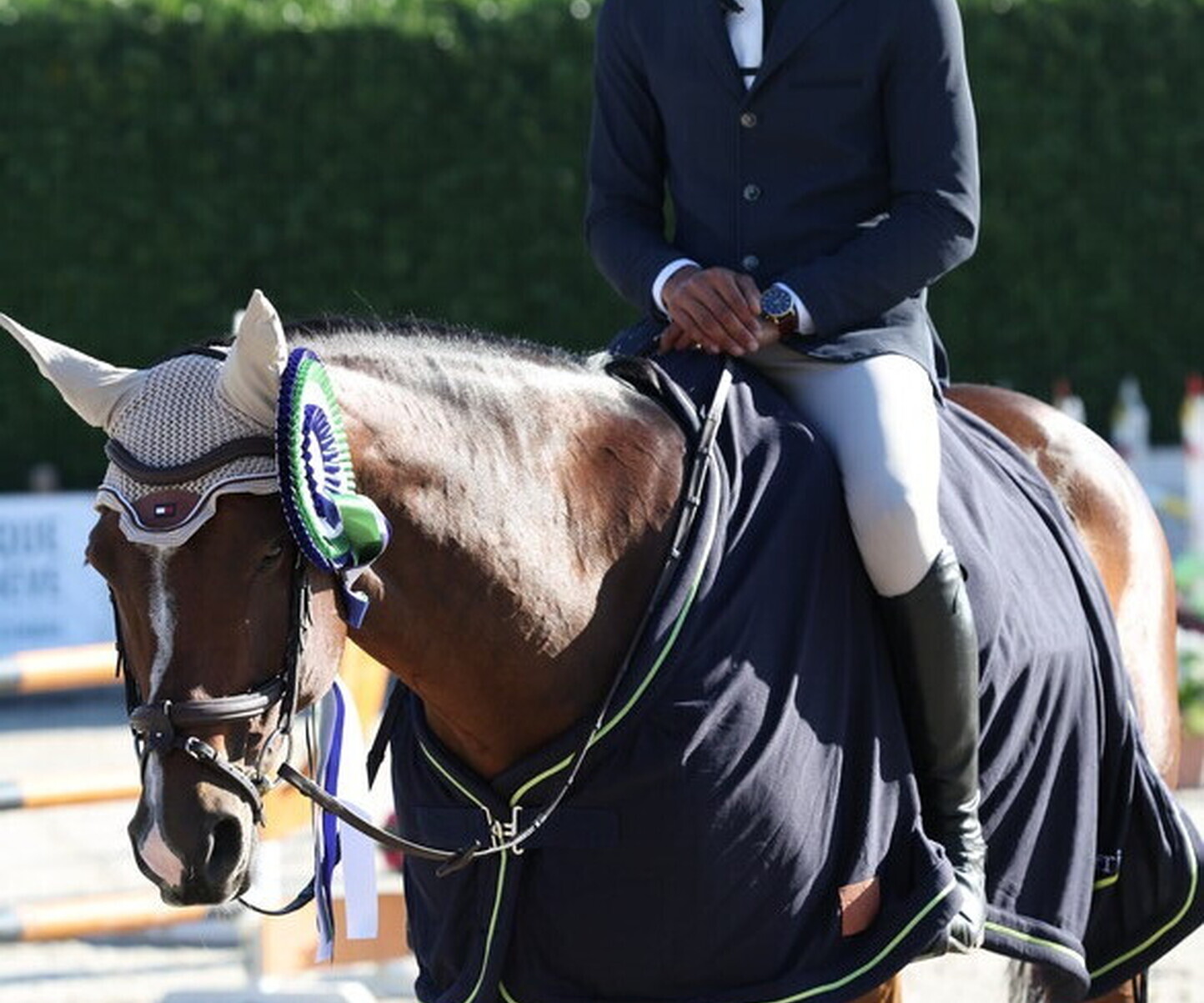 Description de l'image