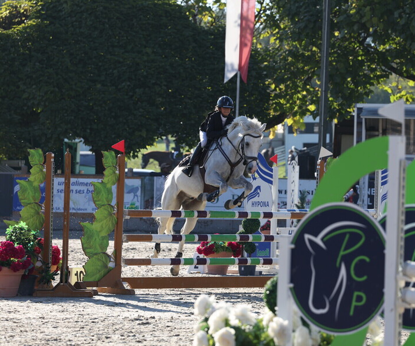 Description de l'image