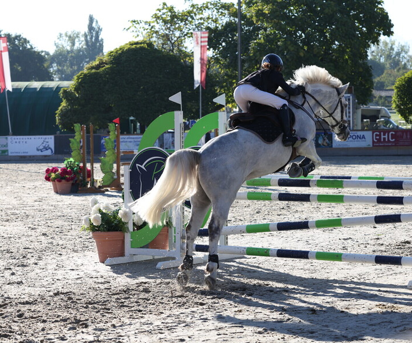 Description de l'image