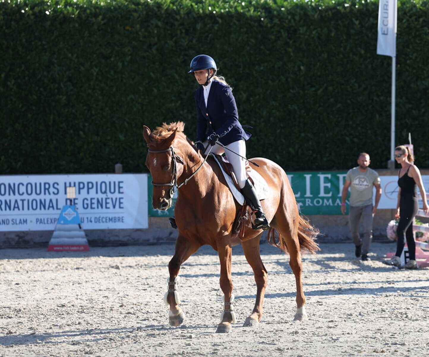 Description de l'image