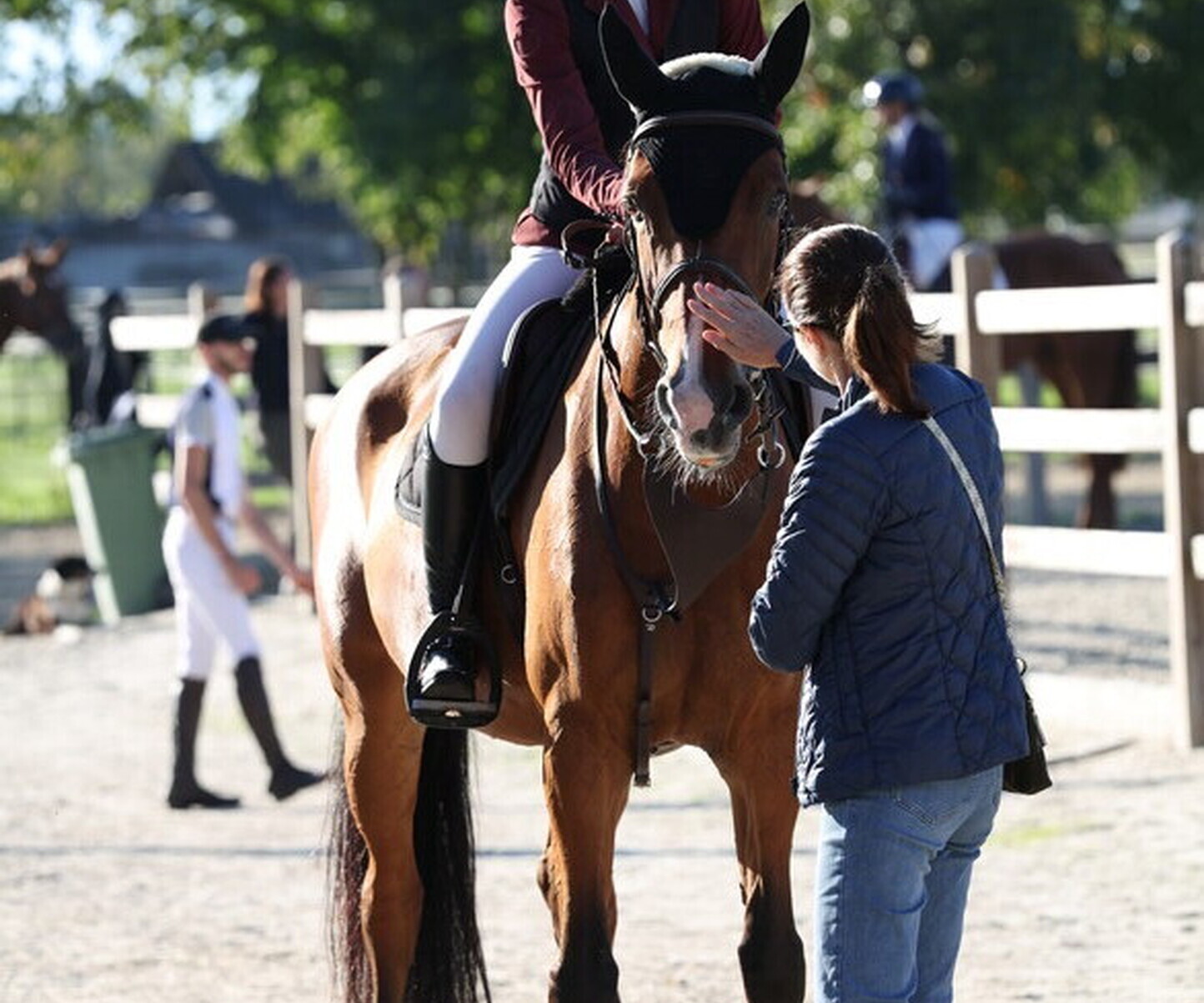 Description de l'image