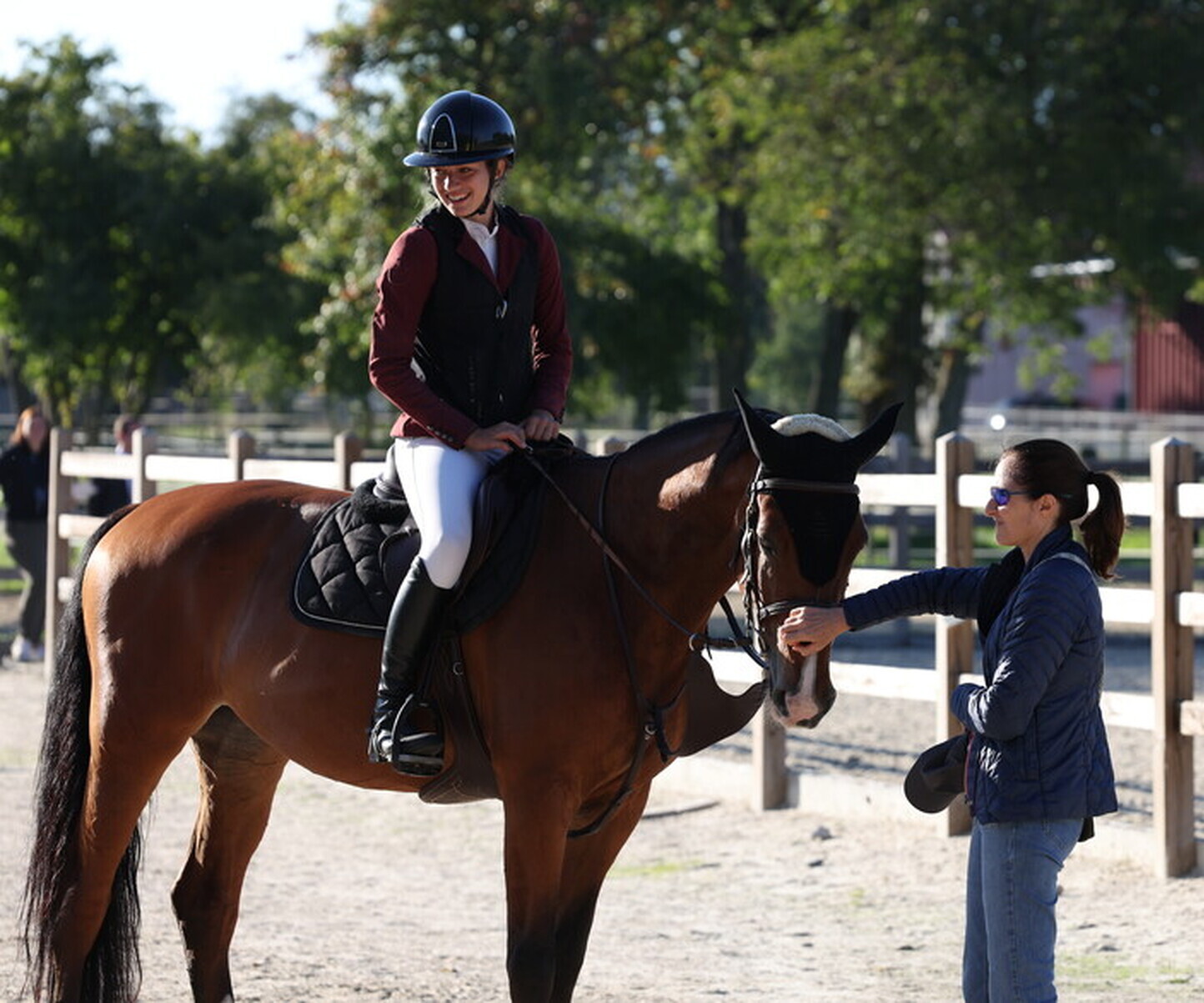 Description de l'image