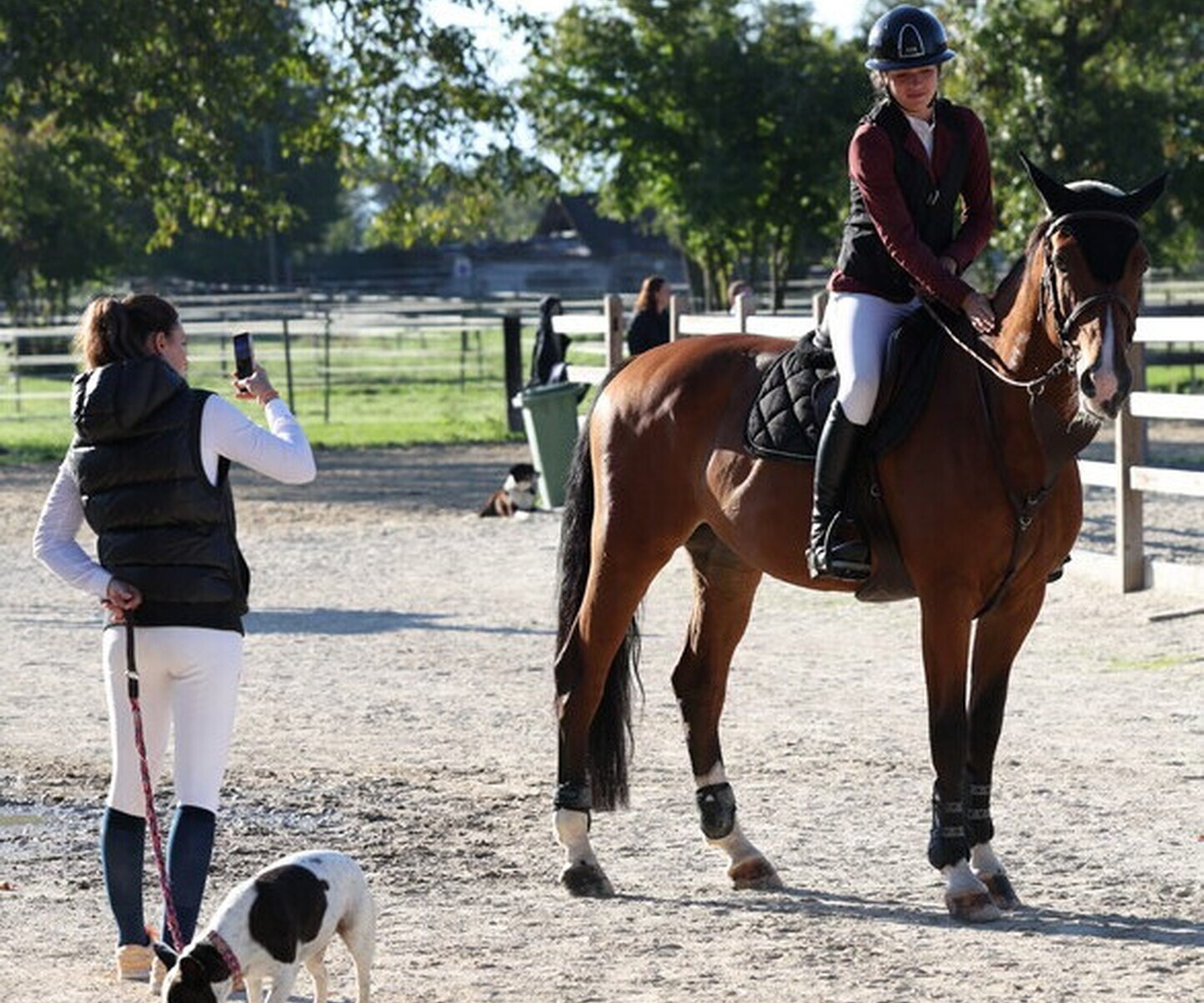 Description de l'image