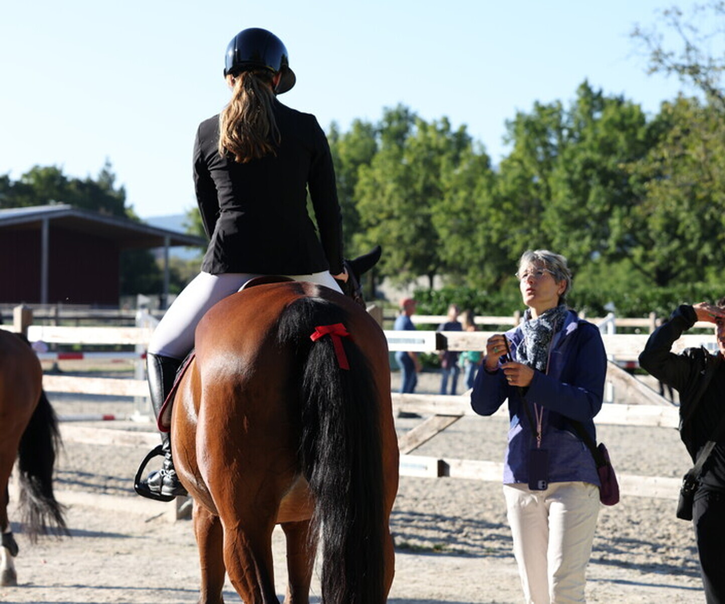 Description de l'image