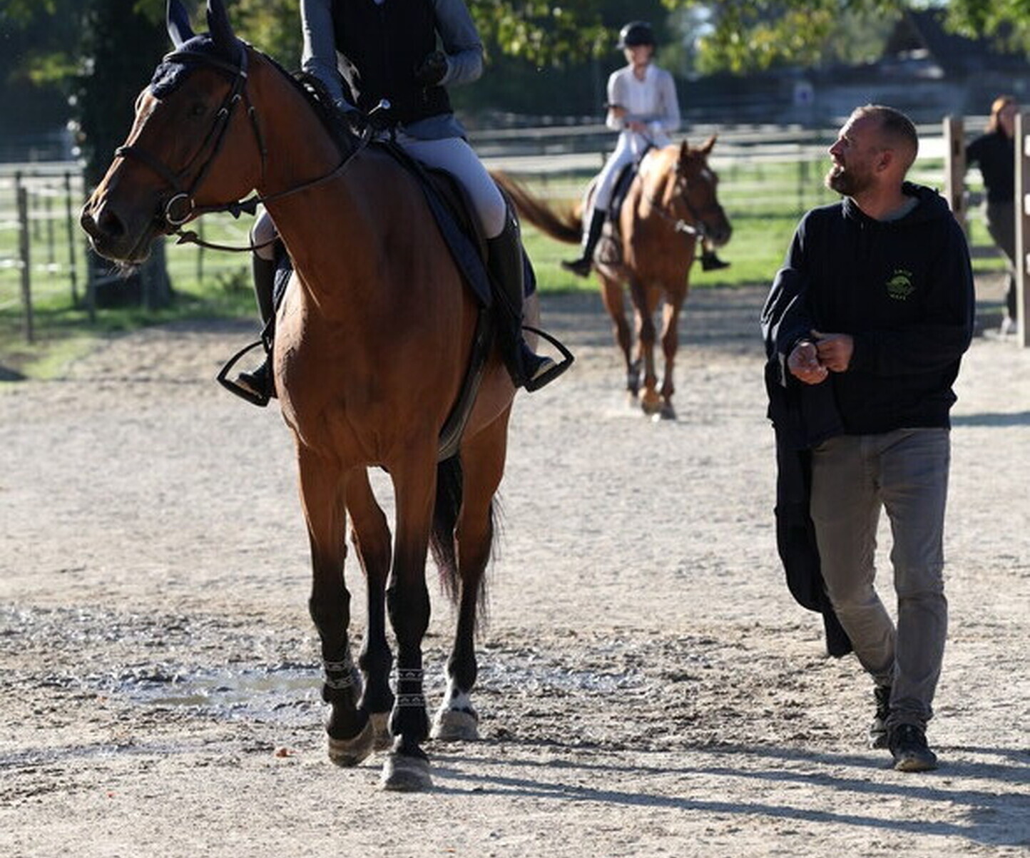 Description de l'image