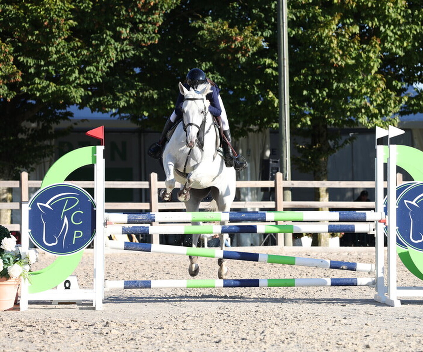 Description de l'image