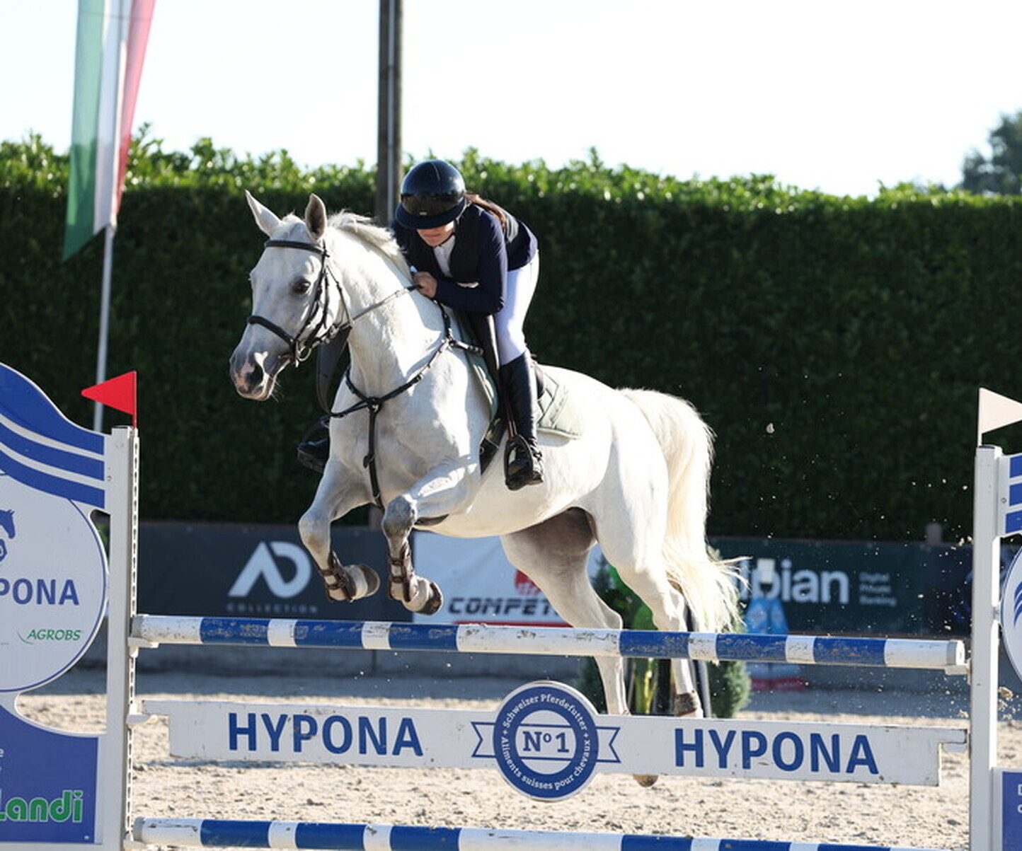 Description de l'image