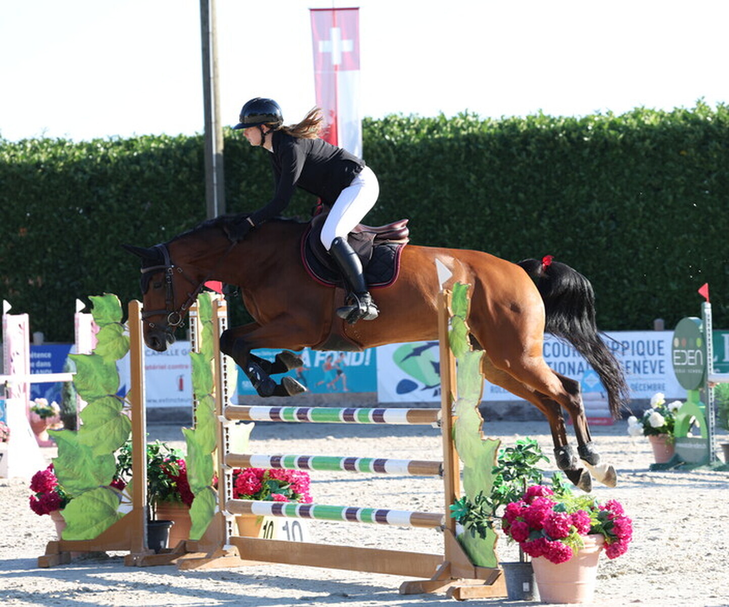 Description de l'image