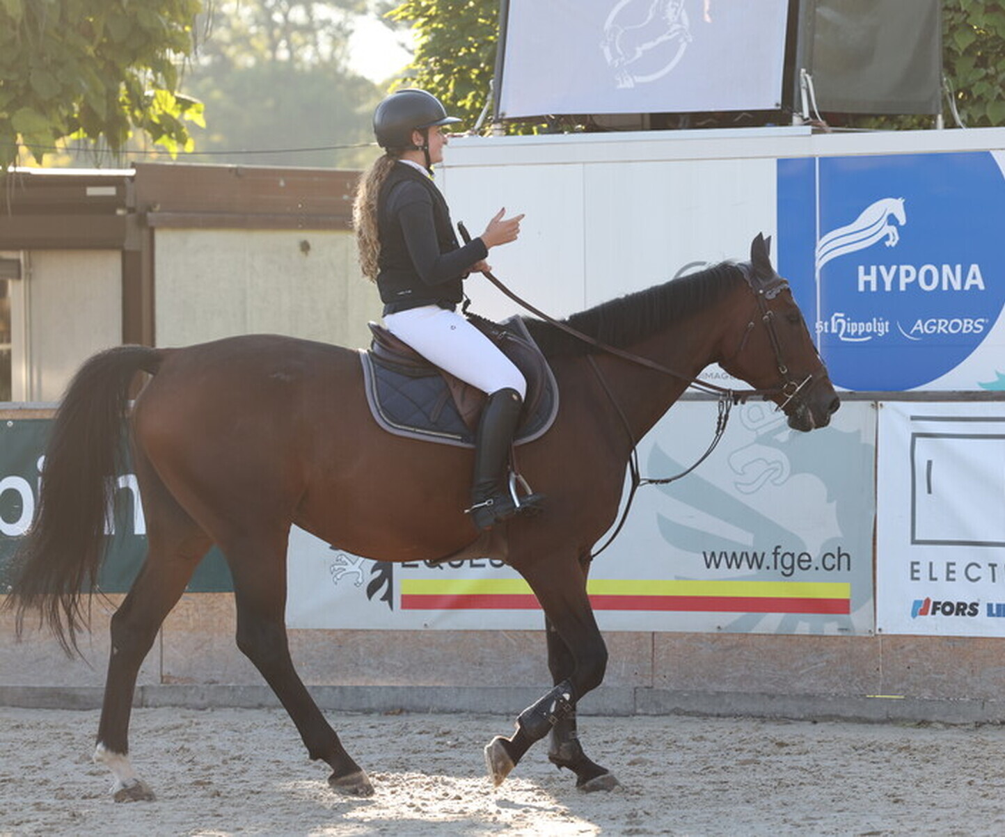 Description de l'image