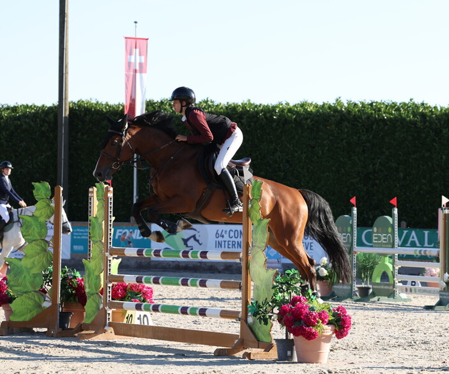 Description de l'image