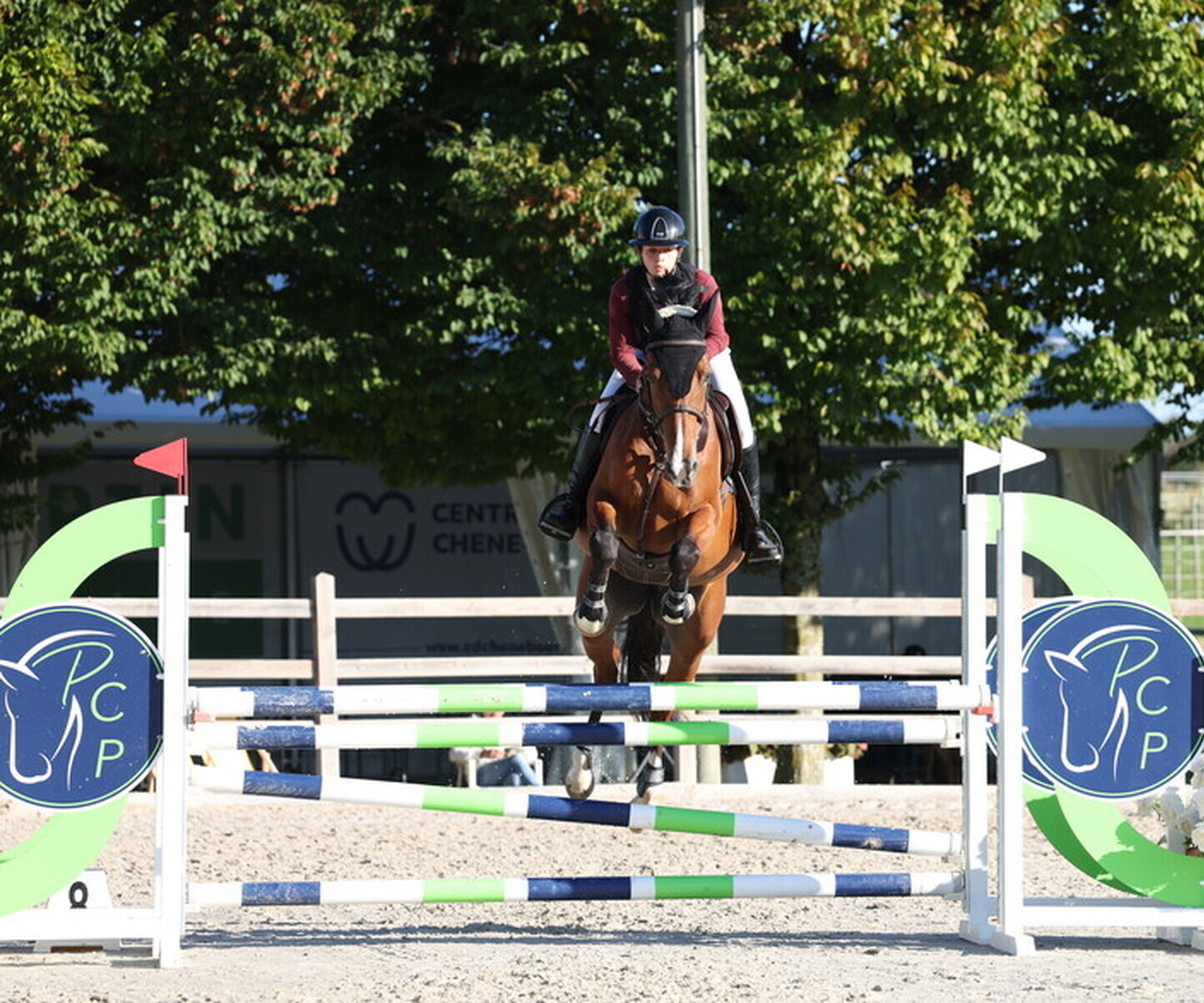 Description de l'image