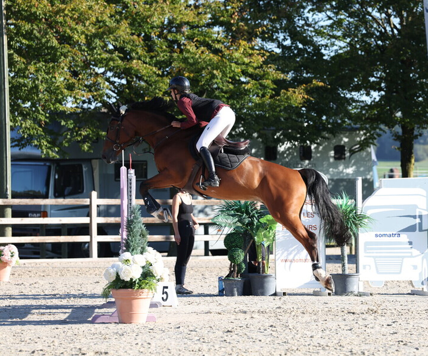 Description de l'image